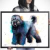 Black Russian Terrier Black Russian Terrier