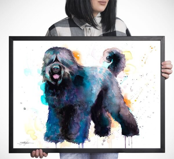 Black Russian Terrier Black Russian Terrier