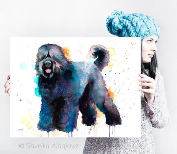 Black Russian Terrier Black Russian Terrier