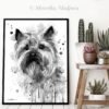 Black and white Cairn Terrier