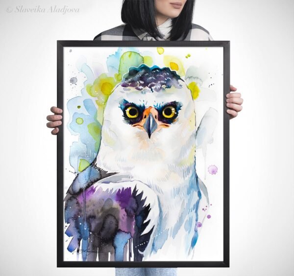 Black and white hawk-eagle