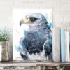 Black-chested buzzard-eagle