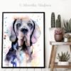 Blue Great Dane