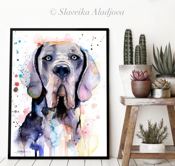 Blue Great Dane