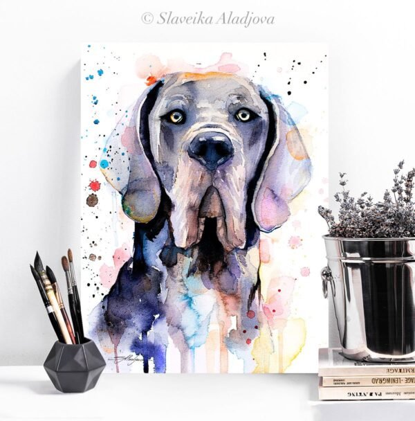 Blue Great Dane