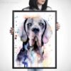 Blue Great Dane
