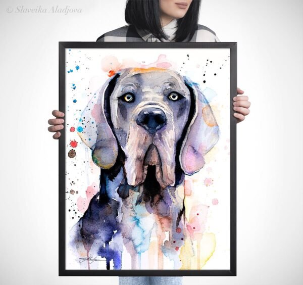 Blue Great Dane