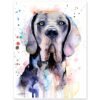 Blue Great Dane