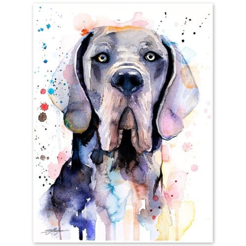 Blue Great Dane