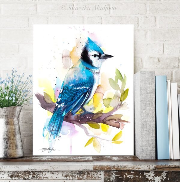 Blue Jay