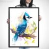 Blue Jay