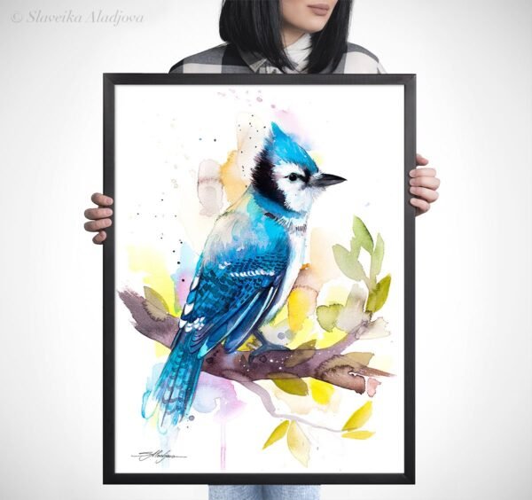 Blue Jay