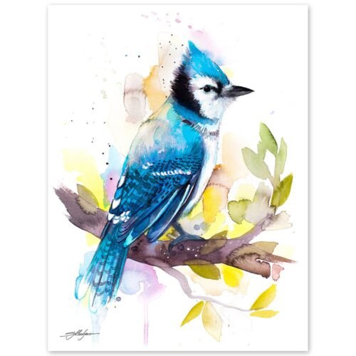 Blue Jay