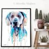 Blue Weimaraner Blue Weimaraner