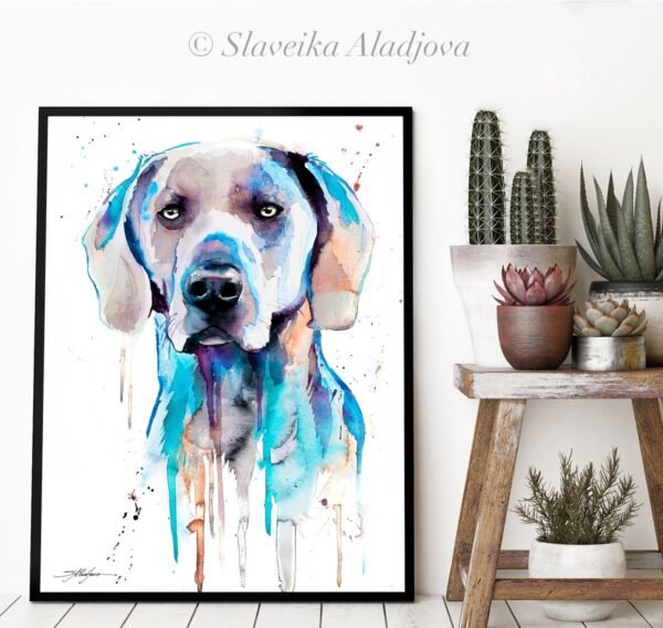 Blue Weimaraner Blue Weimaraner