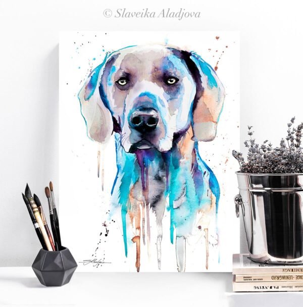 Blue Weimaraner Blue Weimaraner