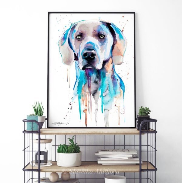 Blue Weimaraner Blue Weimaraner