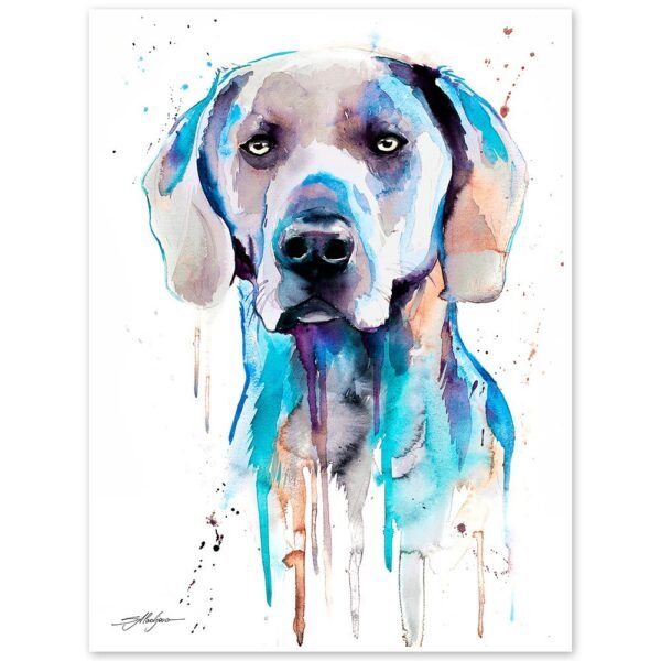 Blue Weimaraner Blue Weimaraner