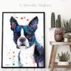 Boston Terrier