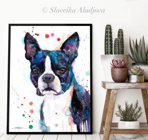 Boston Terrier