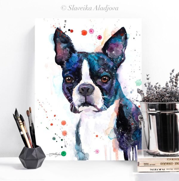 Boston Terrier