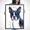 Boston Terrier