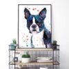 Boston Terrier