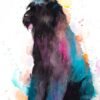 Bouvier des Flandres