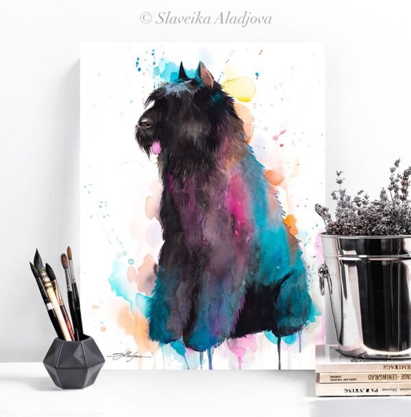 Bouvier des Flandres