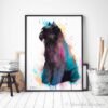 Bouvier des Flandres