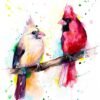 Cardinal Birds