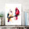 Cardinal Birds