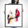 Cardinal Birds