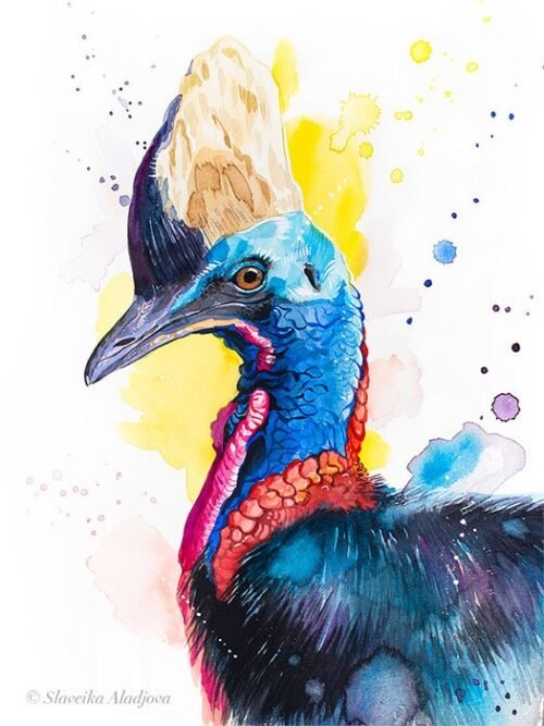 Cassowary