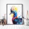 Cassowary Cassowary