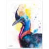 Cassowary Cassowary