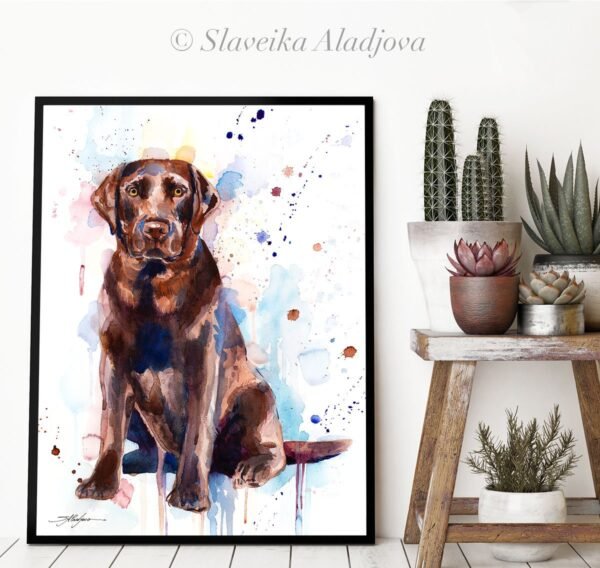 Chocolate Labrador
