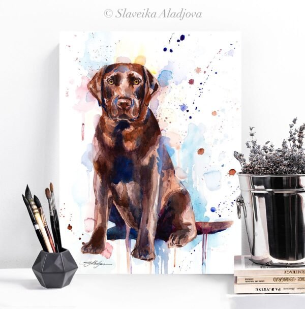 Chocolate Labrador