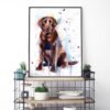 Chocolate Labrador