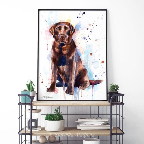 Chocolate Labrador