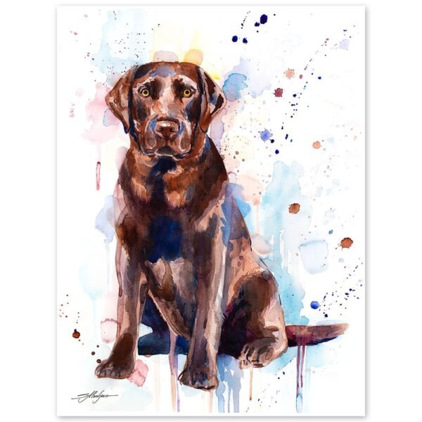 Chocolate Labrador