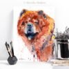 Chow Chow