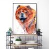 Chow Chow