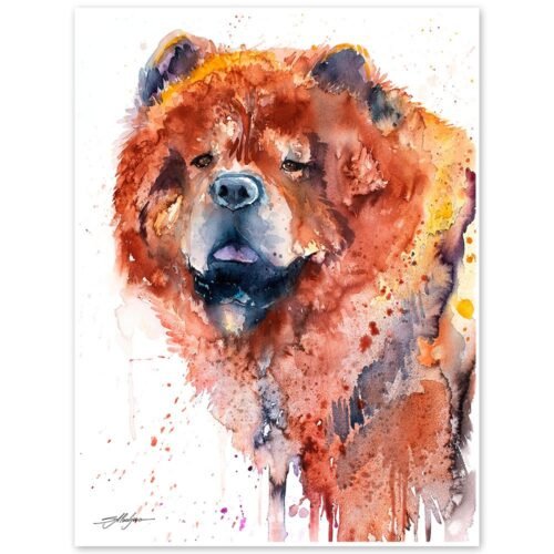 Chow Chow