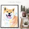 Cream Shiba Inu