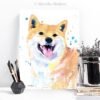 Cream Shiba Inu