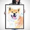 Cream Shiba Inu