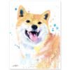 Cream Shiba Inu