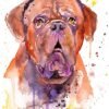 Dogue de Bordeaux, Bordeaux Mastiff, French Mastiff watercolor painting print by Slaveika Aladjova