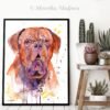 Dogue de Bordeaux, Bordeaux Mastiff, French Mastiff watercolor painting print by Slaveika Aladjova